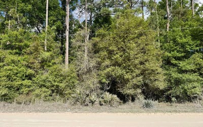 /international/us/lot29-129th-road-obrien-fl-110106988080/
