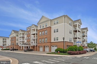 /international/us/24636-woolly-mammoth-terrace-aldie-va-110108150254/