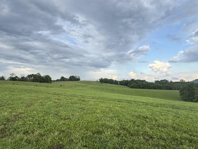 /international/us/11455-hwy-127-hustonville-ky-110100344867/