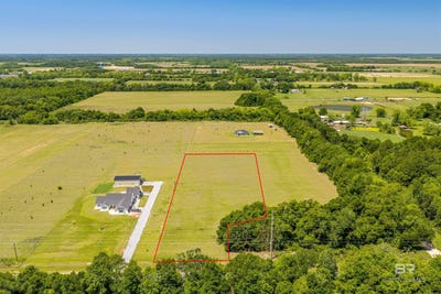 /international/us/county-road-93-lot-2-lillian-al-110107925719/
