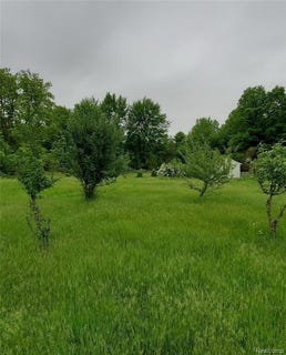 /international/us/34620-california-street-romulus-mi-110106366238/
