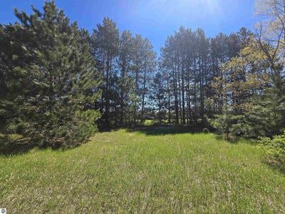 /international/us/00-n-3-road-mesick-mi-110108130085/