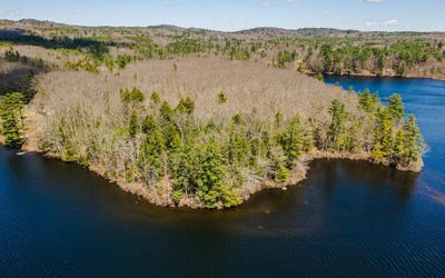 /international/us/forest-road-alstead-nh-110107572676/