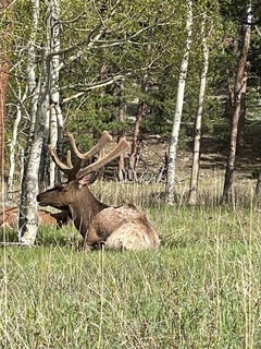 /international/us/1565-highway-66-estes-park-co-110106279475/
