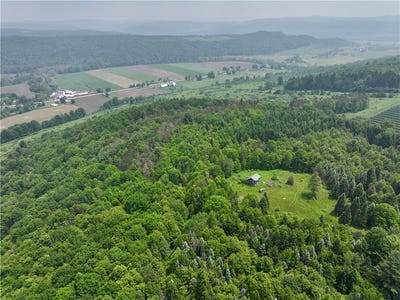 /international/us/78-lower-fairfield-rd-newark-valley-ny-110100158802/