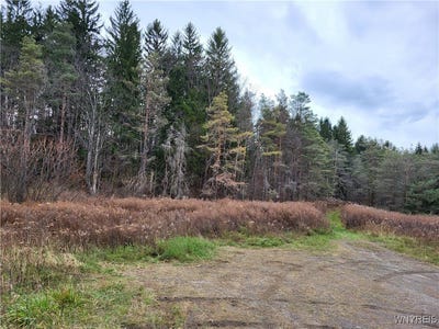 /international/us/us-route-219-ellicottville-ny-110095812267/?lang=en