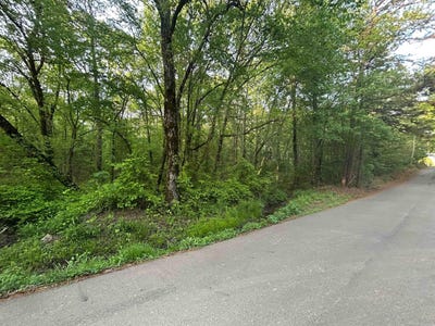 /international/us/e-barton-ave-cove-ar-110107389195/