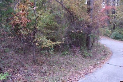 /international/us/002-04257-504-flint-drive-lakeview-ar-110080547340/