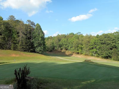 /international/us/0-wilfar-strasse-helen-ga-110100044699/