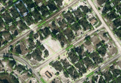 /international/us/447-apple-blossom-court-lake-placid-fl-110100924794/