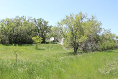 /international/us/164-dry-creek-rd-glendive-mt-110099956377/?lang=zh-tw