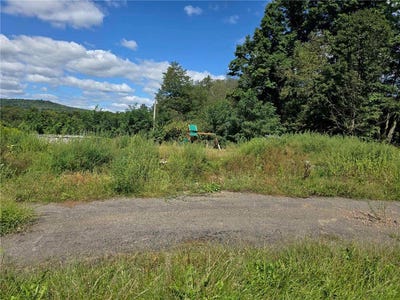 /international/us/3645-county-road-32-oxford-ny-110094423142/?lang=zh-tw