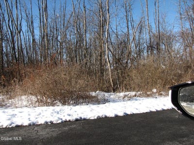 /international/us/39-troy-avenue-colonie-ny-110107285432/
