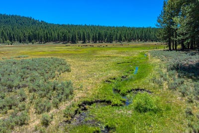 /international/us/smithneck-road-loyalton-ca-110100869230/