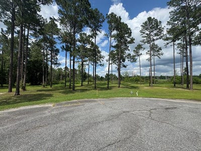/international/us/163-country-woods-poulan-ga-110100193365/