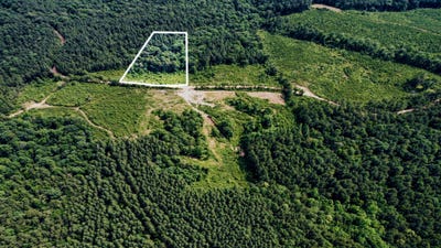 /international/us/county-road-3115-vossburg-ms-110109137479/