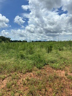 /international/us/hwy-85-tract-b-daleville-al-110119639998/