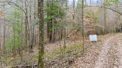 /international/us/lot-21-lacey-lane-campton-ky-110096308883/?lang=zh-tw