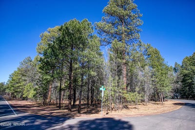 /international/us/4250-branding-iron-loop-pinetop-az-110106279826/