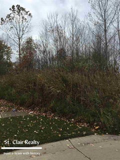 /international/us/5148-ivy-east-china-mi-110060903498/