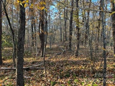 /international/us/shady-lane-mill-spring-nc-110088222396/