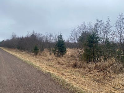 /international/us/on-shauger-rd-ogema-wi-110106953921/