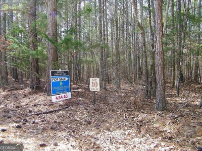 /international/us/lot-10-blackberry-bend-elberton-ga-110098013546/?lang=zh-cn