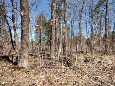 /international/us/tbd-black-creek-east-road-skanee-mi-110101852021/