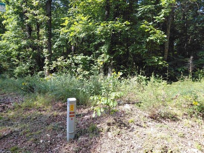 /international/us/ponderosa-lane-ozark-acres-ar-110109040718/