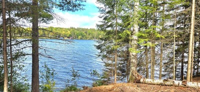 /international/us/lt-on-oswego-fishtrap-lake-rd-boulder-junction-wi-110110318045/
