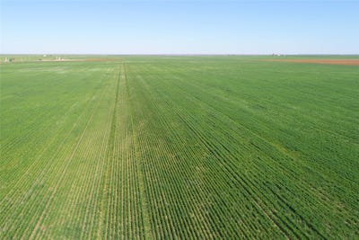 /international/us/county-rd-81-s-vernon-tx-110090911087/