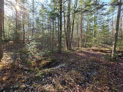 /international/us/chipper-lane-lot-3-milan-nh-110095417185/