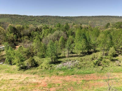 /international/us/10-acres-cr-792-8-9-flat-rock-al-110098667738/?lang=zh-tw