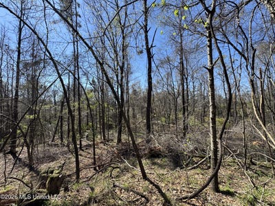 /international/us/n-circle-road-lexington-ms-110106693907/