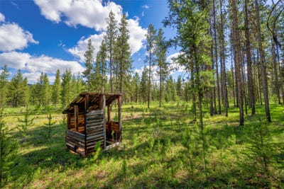 /international/us/nhn-happy-acres-lane-sula-mt-110108935449/