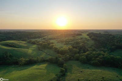 /international/us/277th-trail-chariton-ia-110101235991/