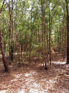 /international/us/parcel-c-2-wildlife-rd-harold-fl-110104488521/