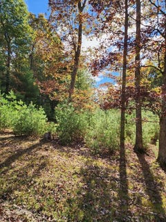/international/us/125-march-chapel-daniels-wv-110103332426/