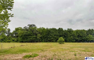 /international/us/lot-17-treasure-cove-latta-sc-110107602524/