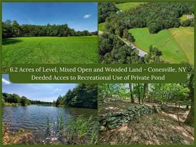 /international/us/bull-hill-road-lot-10-gilboa-ny-110107277195/