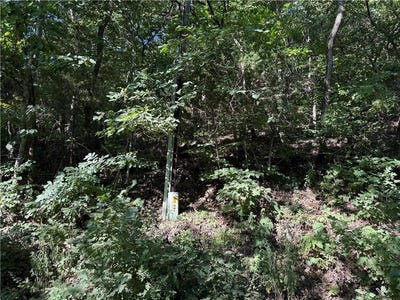 /international/us/cr-995-rd-green-forest-ar-110101339966/?lang=zh-tw