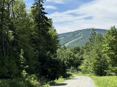 /international/us/forest-heights-dover-vt-110100613198/