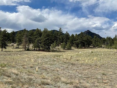 /international/us/11993-clear-creek-road-hartsel-co-110100579025/