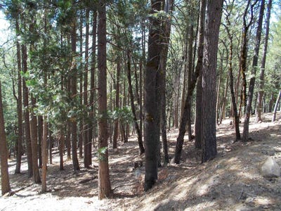 /international/us/2053-buckhorn-circle-quincy-ca-110094071091/