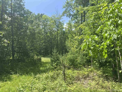 /international/us/tbd-40-acres-wilderness-crystal-falls-mi-110100594290/