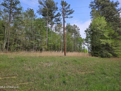 /international/us/hwy-43-silver-creek-ms-110098693669/