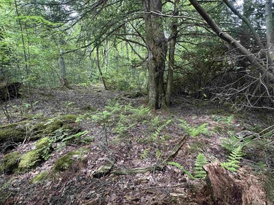 /international/us/tuscan-ridge-road-lot-7-davis-wv-110108448732/