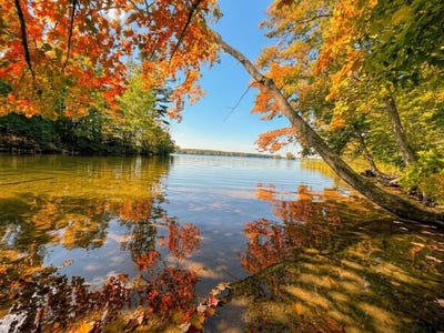 /international/us/28-1-4-street-birchwood-wi-110109723463/