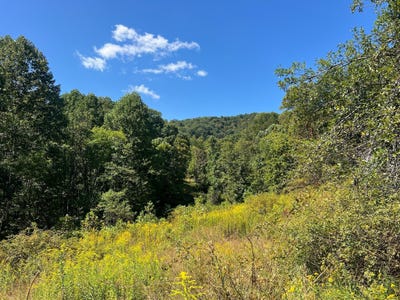/international/us/hamilton-ridge-road-alderson-wv-110106840699/