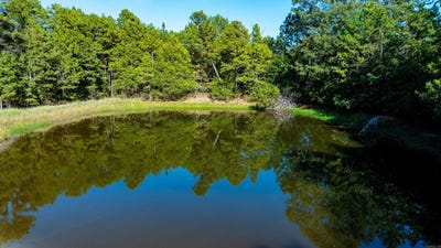 /international/us/682-jones-farm-rd-boswell-ar-110120425079/